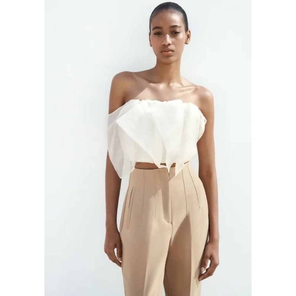 Zara High-Waisted Pants - Taupe Brown 2162/888 XL